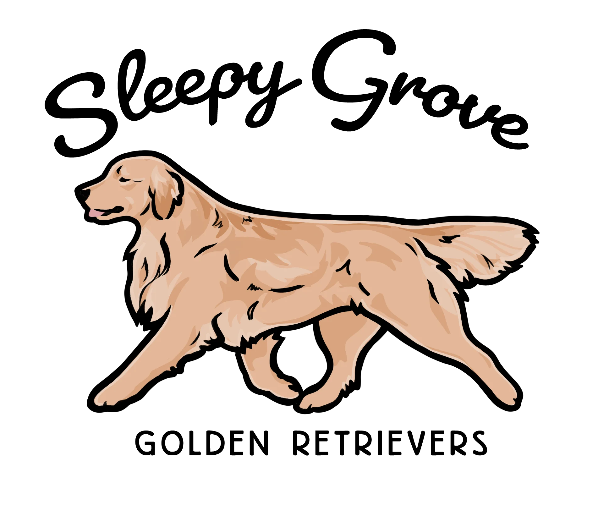Sleepy Grove Golden Retrievers